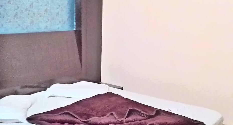 Hotel Vijay Inn, New Delhi 4